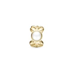 Christina - Pearl & Nature Charm in vergoldete für Lederarmband