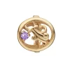 Christina Collect vergoldete Charms - Wassermann