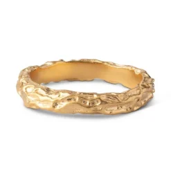 Enamel - Gaia Ring aus vergoldetem Silber