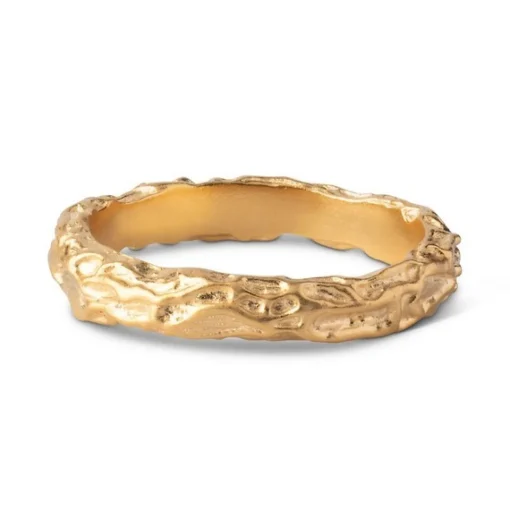 Enamel - Gaia Ring aus vergoldetem Silber
