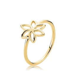 Izabel Camille - Nigella ring aus vergoldetem silber *