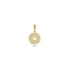 MELFIA Anhänger Kreis w Stern mit zirkonia in 14kt. Gold