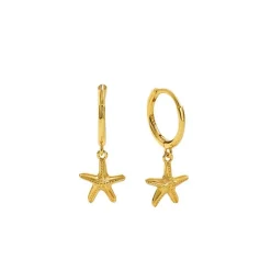 MerlePerle - Laura Hoops in vergoldete silber mit Seesternen