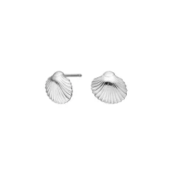 Nordahl - silber in mit Muscheln