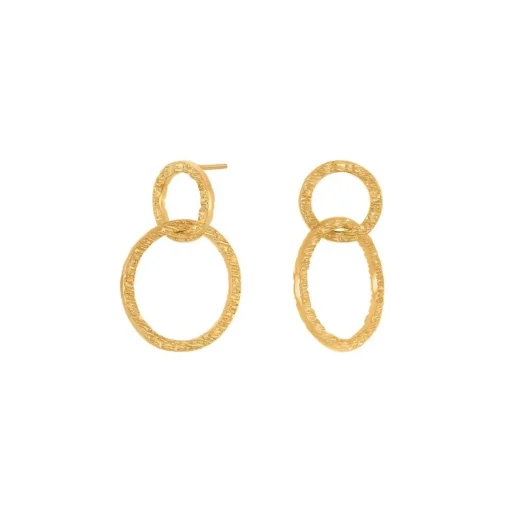 Nordahl Jewellery - LOOK52 Ohrringe in vergoldete mit Ringen
