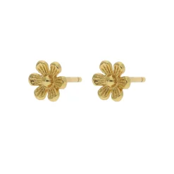 Nuni - Vanessa Ohrringe in vergoldete silber mit Blumen