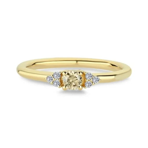 Nuran - Champagnerring aus 14 kt Gold mit insgesamt 0,21ct.
