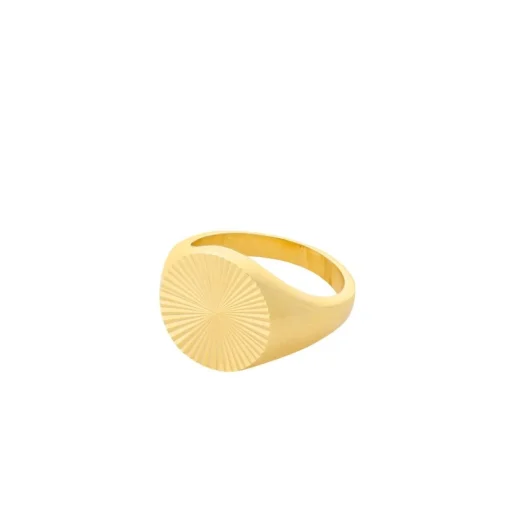 Pernille Corydon - Ocean Star Signet vergoldeter ring  silber
