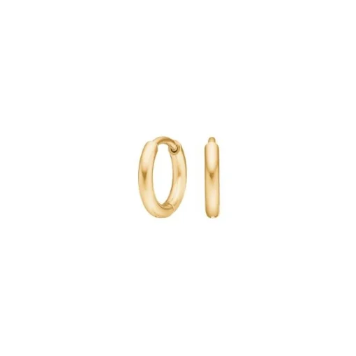 Reines Titan Nickelfreie hoops in vergoldete Titan - 8 mm